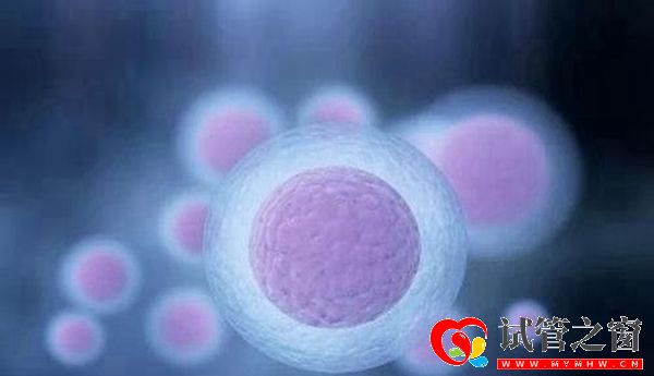 進(jìn)行三代試管嬰兒會(huì)有什么風(fēng)險(xiǎn)嗎(圖2)