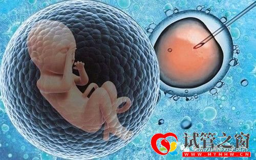 去美國做試管嬰兒要多久最短3天即可(圖1) 去美國做試管嬰兒要多久最短3天即可(圖1)