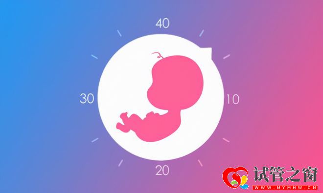 每年有30萬名試管嬰兒誕生!費用要10萬起效果卻因人而異(圖2)