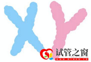 三代試管的真相,80%的人都不知道!學姐說(圖3)