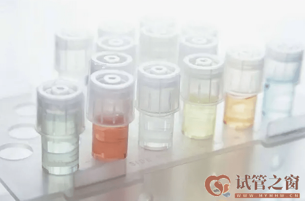 三代試管想湊一個“好”字,費用是多少(圖1) 三代試管想湊一個“好”字,費用是多少(圖1)