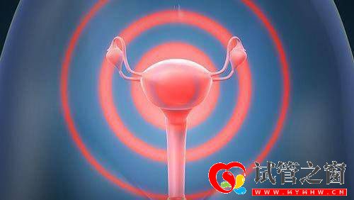 三代試管移植后如何快速著床？(圖2)