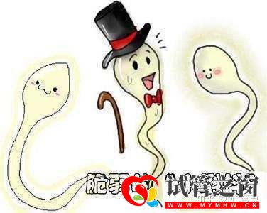 三分鐘教你分辨死精和弱精(圖1)