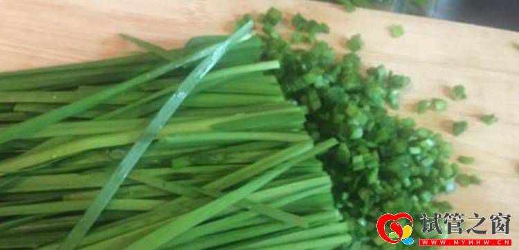 平時常見的韭菜雞蛋,一起搭配不僅美味,還可以保護子宮與卵巢(圖1) 平時常見的韭菜雞蛋,一起搭配不僅美味,還可以保護子宮與卵巢(圖1)