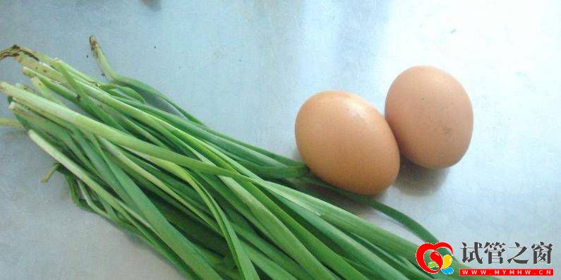 平時常見的韭菜雞蛋,一起搭配不僅美味,還可以保護子宮與卵巢(圖2) 平時常見的韭菜雞蛋,一起搭配不僅美味,還可以保護子宮與卵巢(圖2)