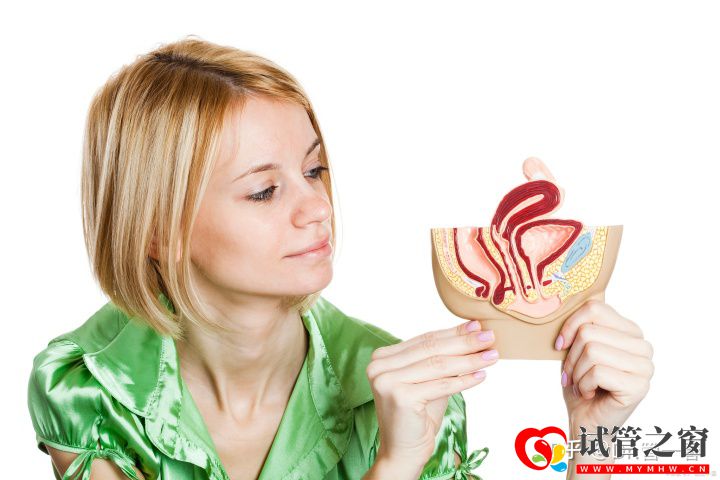 一篇文章帶你了解人工授精助孕流程(圖1) 一篇文章帶你了解人工授精助孕流程(圖1)