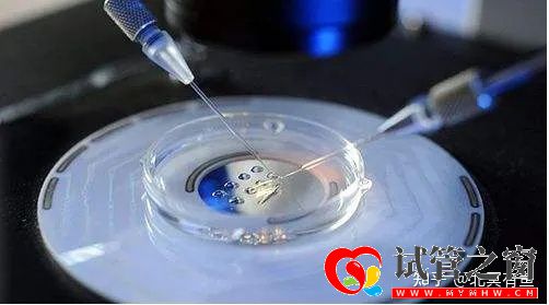 同性伴侶也可以生育自己的孩子(圖2) 同性伴侶也可以生育自己的孩子(圖2)