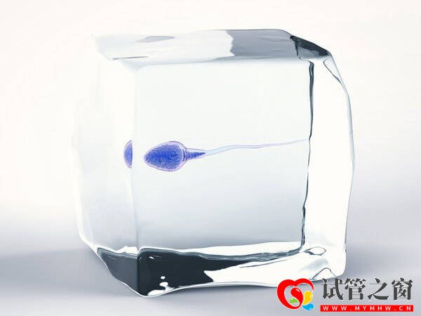 試管之窗:死精癥是什么原因導致的?(圖1) 試管之窗:死精癥是什么原因導致的?(圖1)