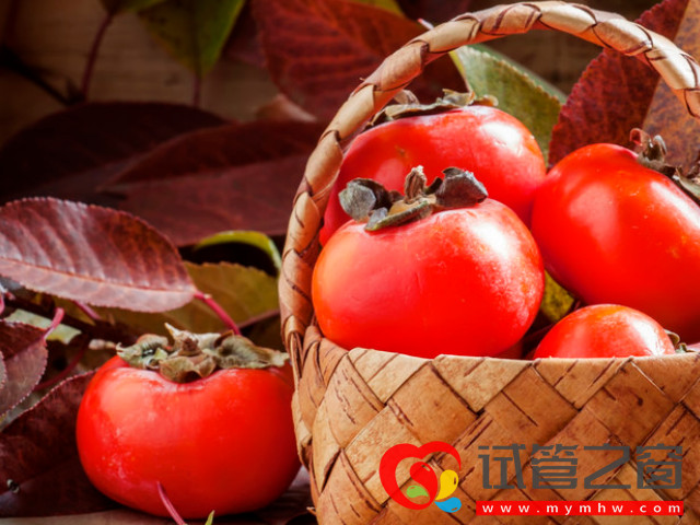 移植后不建議吃柿子并非空穴來風,這3點風險必看!(圖1) 胚胎移植后可以吃柿子