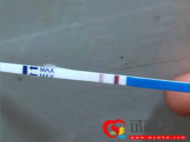 移植4bb囊胚一周測懷孕