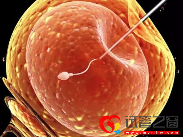 卵子老化的大齡女性看過來,第四代試管嬰兒幫你圓夢(圖2) 四代試管主要是通過線粒體移植療法