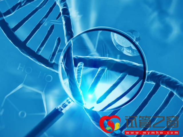 試管嬰兒不能決定男女