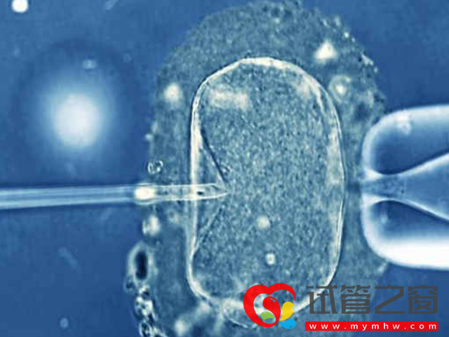 三代試管適合遺傳病