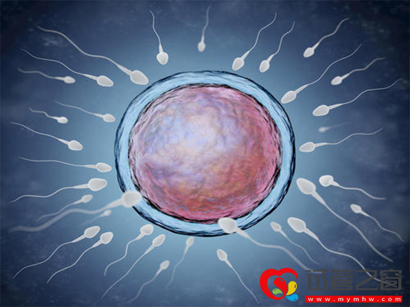 黃體期用藥流程