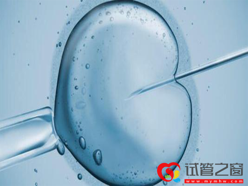 黃體期方案取卵