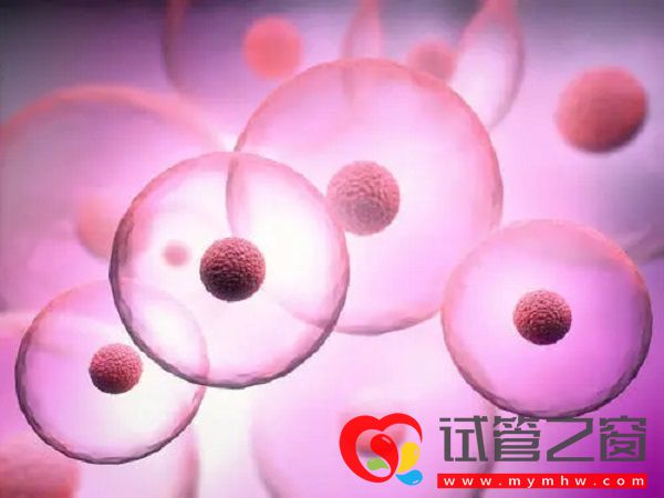 不孕能在海南省婦幼保健院做試管