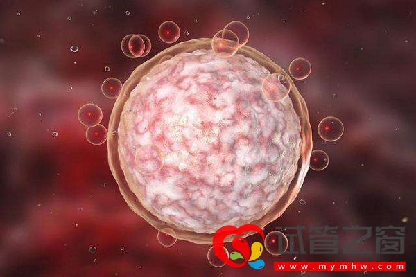 防止試管嬰兒出現空卵泡講方法,找準原因才好解決(圖1) 空卵泡又稱空卵泡綜合癥