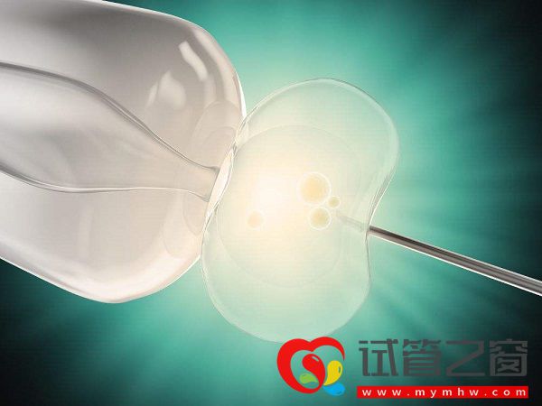 防止試管嬰兒出現空卵泡講方法,找準原因才好解決(圖3) 趁年齡小做試管可預防空卵泡