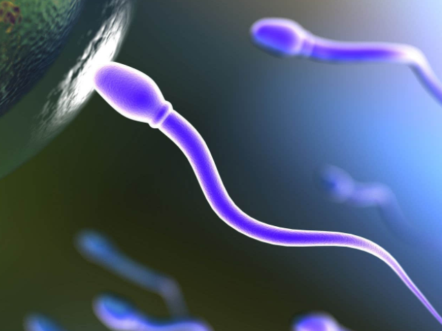 生殖道感染會引起少精癥