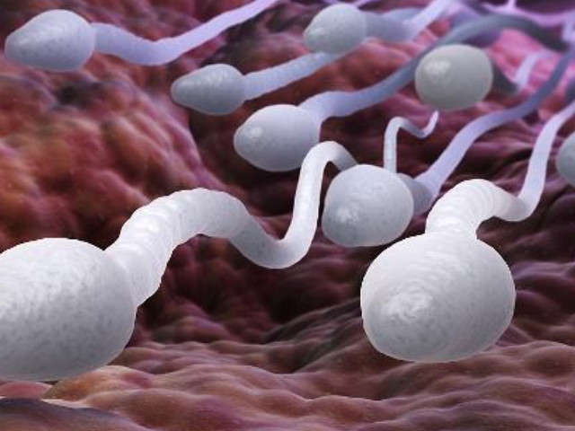 少精也有懷孕的可能性