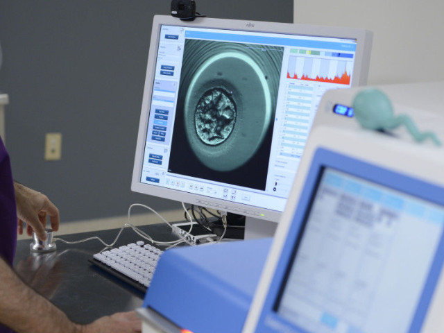 單身女性不能凍卵