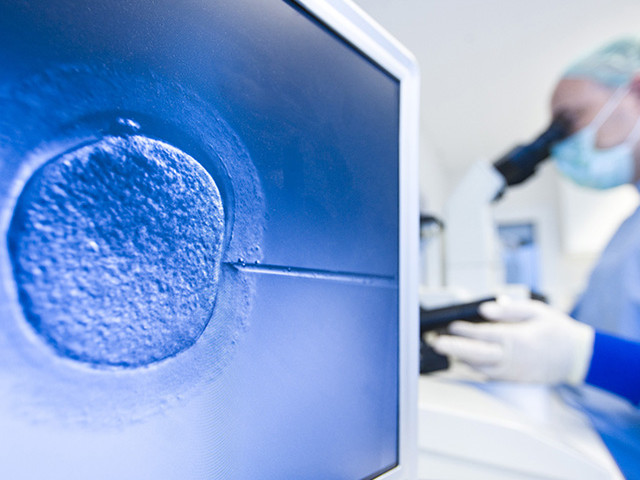 國(guó)內(nèi)冷凍卵子技術(shù)合法