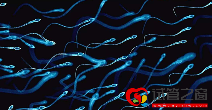 赴柬做試管并非盲目從眾,柬埔寨三代試管4大優勢(圖1) 柬埔寨第三代試管