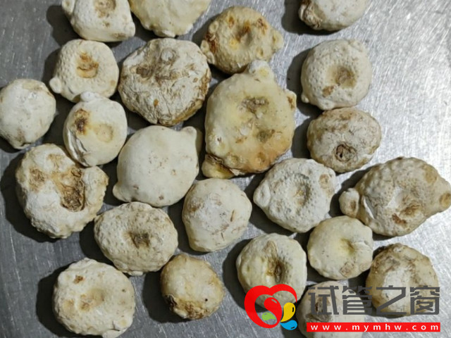 孕婦不能吃生南星