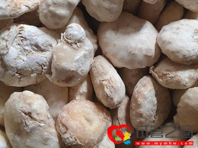 孕婦吃生南星會中毒