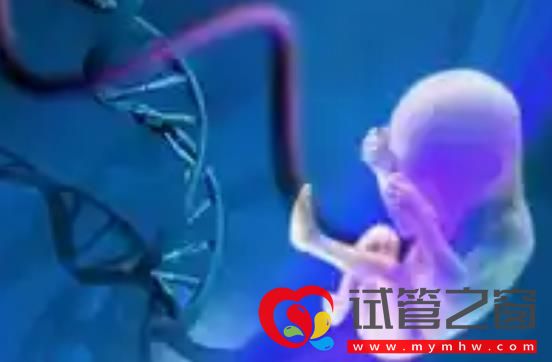 深圳市試管嬰兒醫院成功率排名(圖1) 深圳市試管嬰兒醫院成功率排名(圖1)