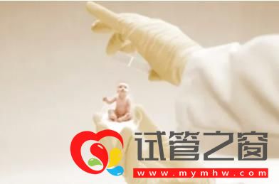 試管嬰兒技術