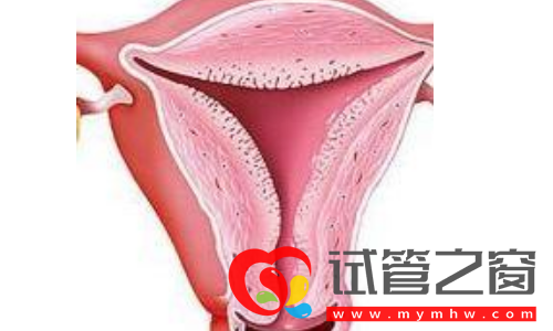 內膜厚度多少可以移植囊胚(圖1)