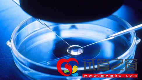 做試管雙胞胎幾率高嗎,正常人可以做試管嬰兒生雙胞胎嗎