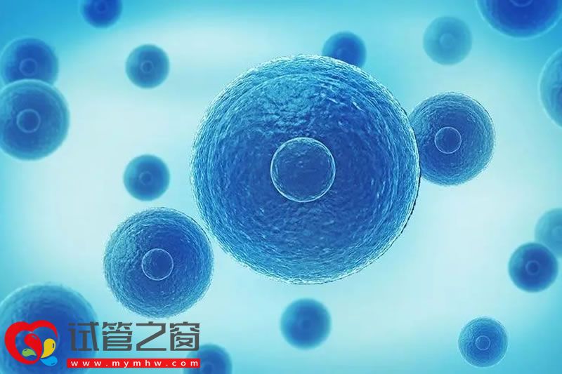 雅安輸卵管過長能做試管嗎 試管費用大概多少錢(圖1) sg (4).jpg