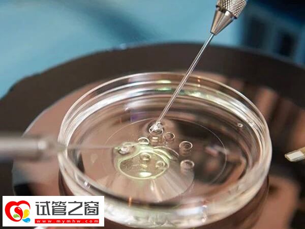 移植后為什么會(huì)出現(xiàn)腹脹胸悶