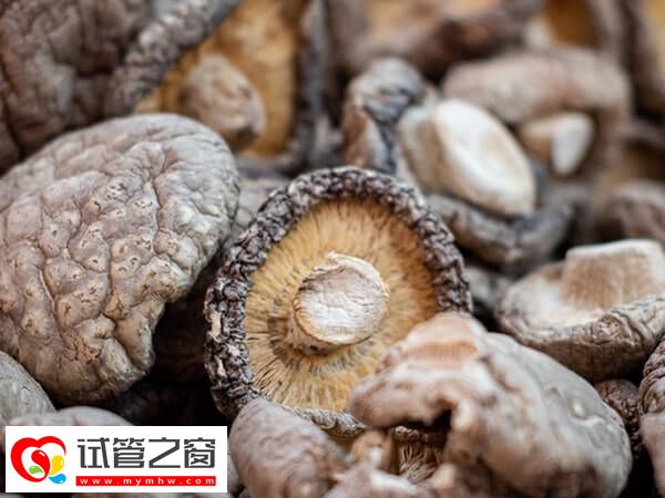 胚胎移植后吃蘑菇是否影響著床