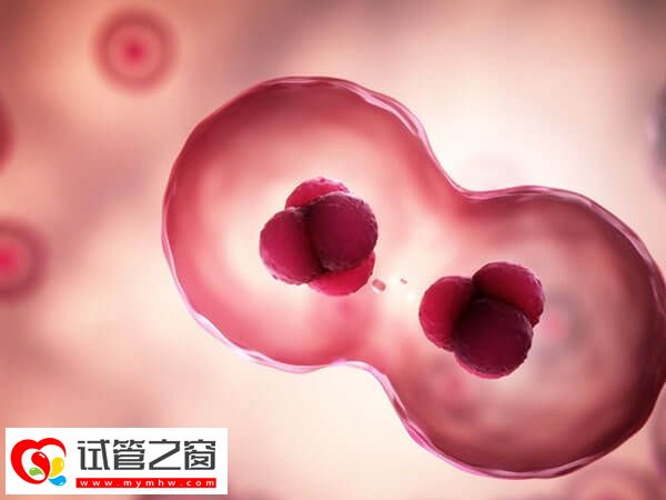 促排期間腹部不舒服、體溫升高要小心,可能是卵泡早排!(圖1) 促排卵泡早排會不會影響體溫