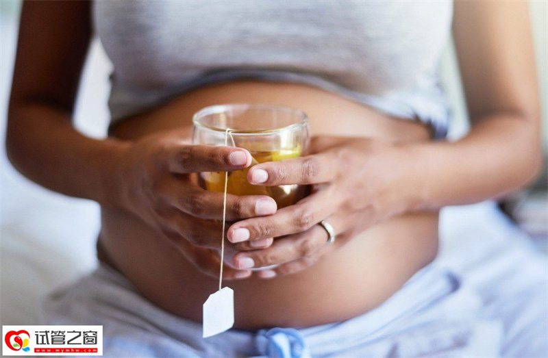 洋甘菊茶與懷孕,手,餐具,人體,腰圍,杯,手勢