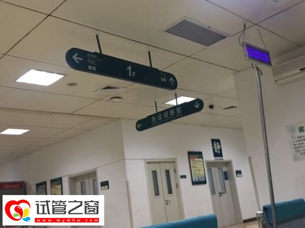 杭州做試管最好的醫(yī)生是誰