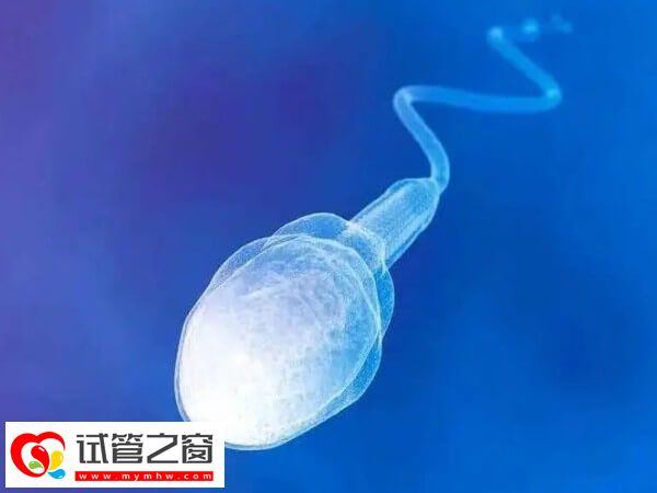 做試管嬰兒什么情況需要凍精(圖1) 凍精可以保存生育能力