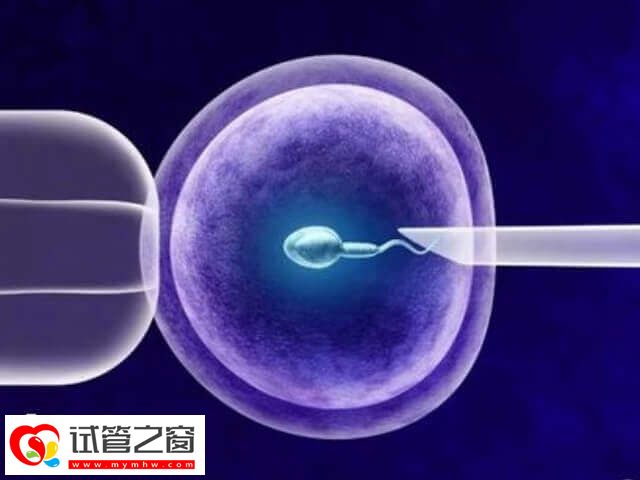 試管成功率與胚胎質(zhì)量密切相關(guān)