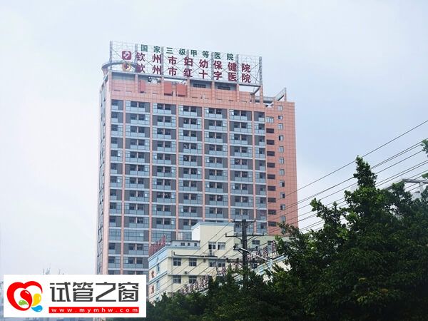 欽州市婦幼保健院試管嬰兒成功率多少(圖1) 欽州市婦幼保健院大樓