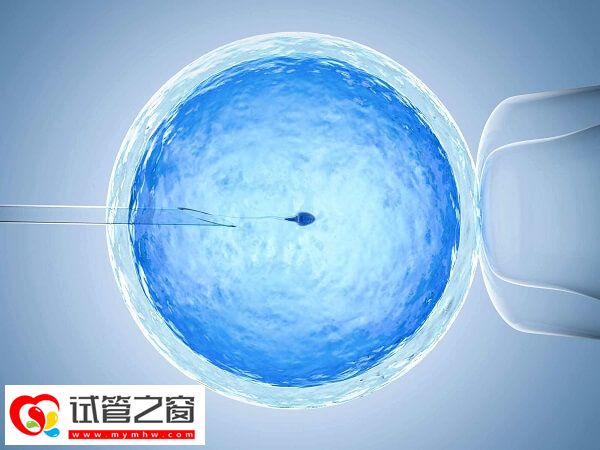 試管嬰兒移植凍胚的好處有哪些(圖1) 凍胚移植僅適用特殊可用癥群體