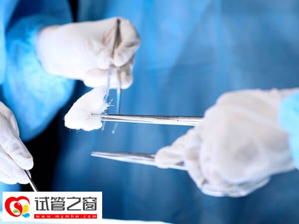 試管嬰兒可采用腹部取卵的6類人群羅列,成功率較為可觀!(圖2) 試管滿足什么條件可做腹部取卵