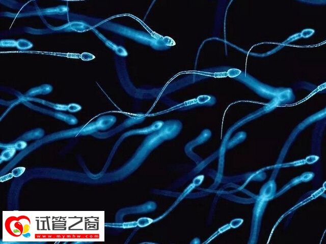 男人陽痿能不能做試管嬰兒(圖1) 陽痿要想做是試管先弄清引起的原因