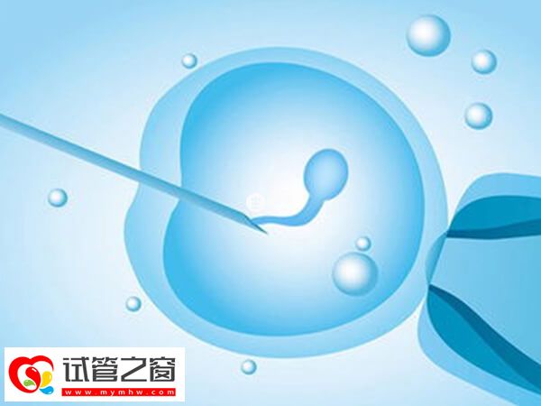 做試管嬰兒期間可以適當運動