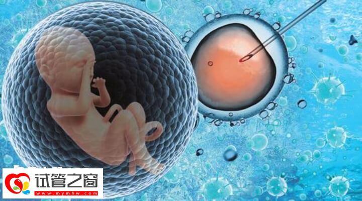 子宮萎縮可不可以做試管嬰兒(圖1) 子宮萎縮會影響試管嬰兒成功率