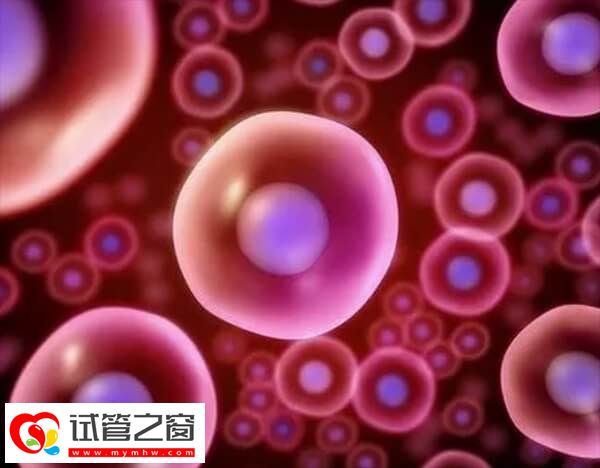 做試管嬰兒前要先檢查卵巢功能