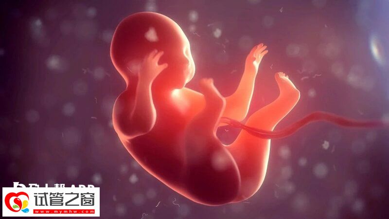 羊水渾濁是什么原因造成的(圖1) 羊水渾濁可以通過物理治療改善