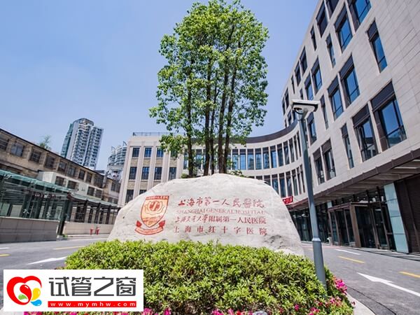 2024上海市三代試管嬰兒價(jià)格公開(kāi),第一人民醫(yī)院6萬(wàn)起(圖1) 上海三代試管成功率多少